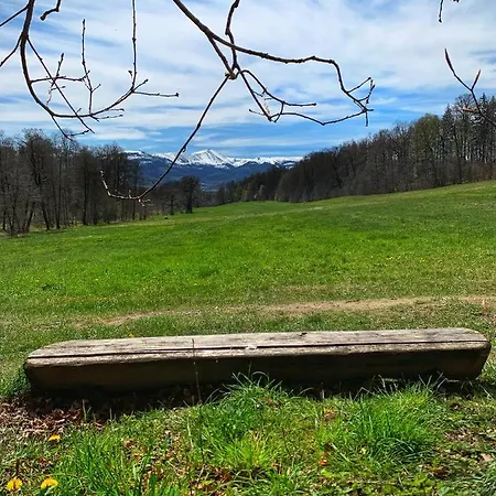 Margo Kolo Karpacza *