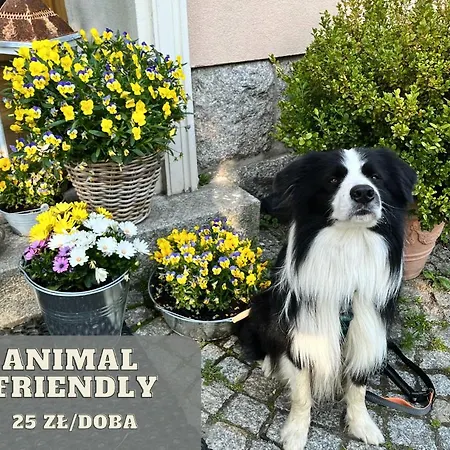 Margo Kolo Karpacza ホテル Bukowiec