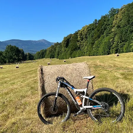 Margo Kolo Karpacza *