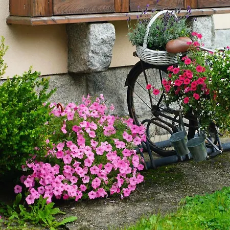 Hotel Margo Kolo Karpacza Bukowiec (Lower Silesia)