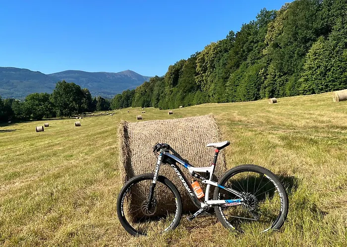 Margo Kolo Karpacza *