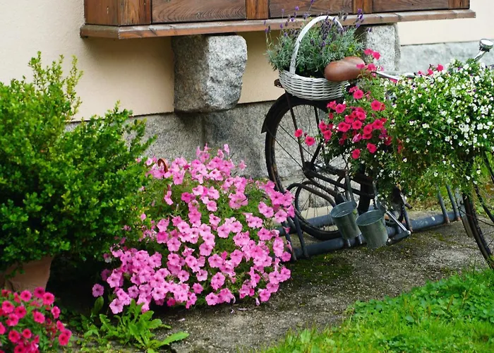 Hotel Margo Kolo Karpacza Bukowiec (Lower Silesia)
